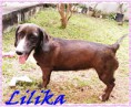 /album/concurso-de-beleza-c-g/foto-0124-2-jpg/